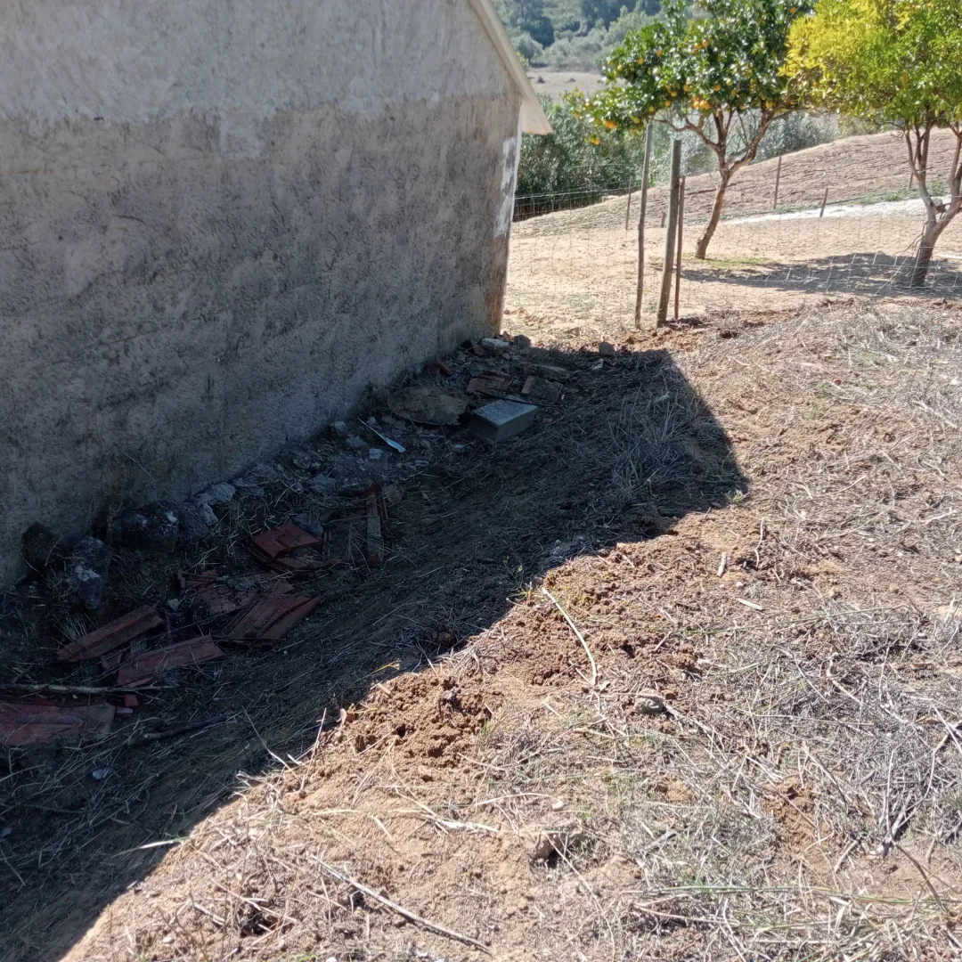 Pedro Cardoso - Santarém - Tree Stump Grinding and Removal