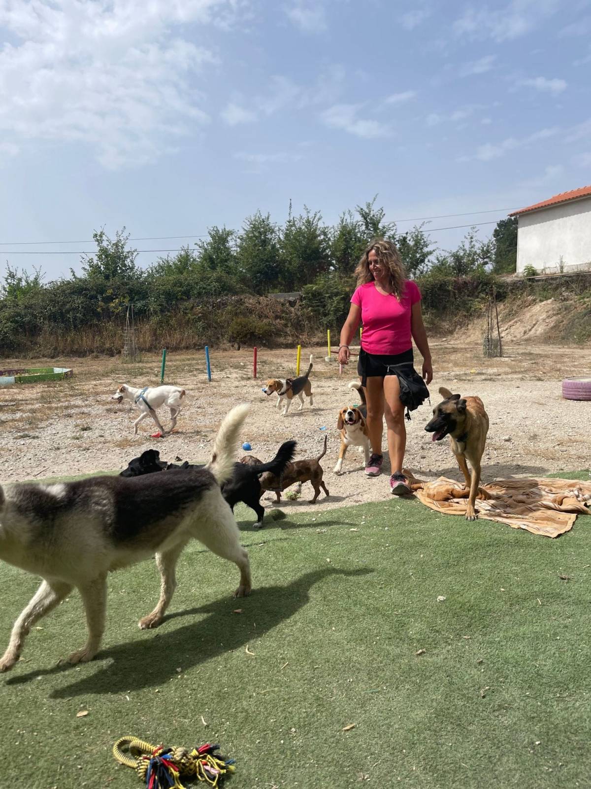 Dog Olympus - Tondela - Dog Walking