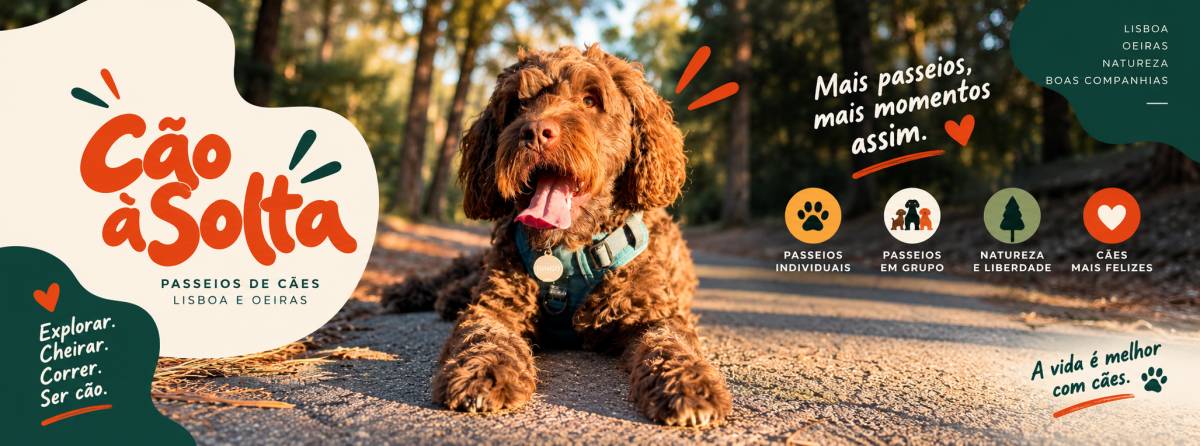 Rodrigo Ruiz - Oeiras - Pet Sitting e Pet Walking