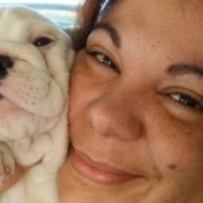 Bulldogs Casa Tejo - Torres Novas - Pet Hotel