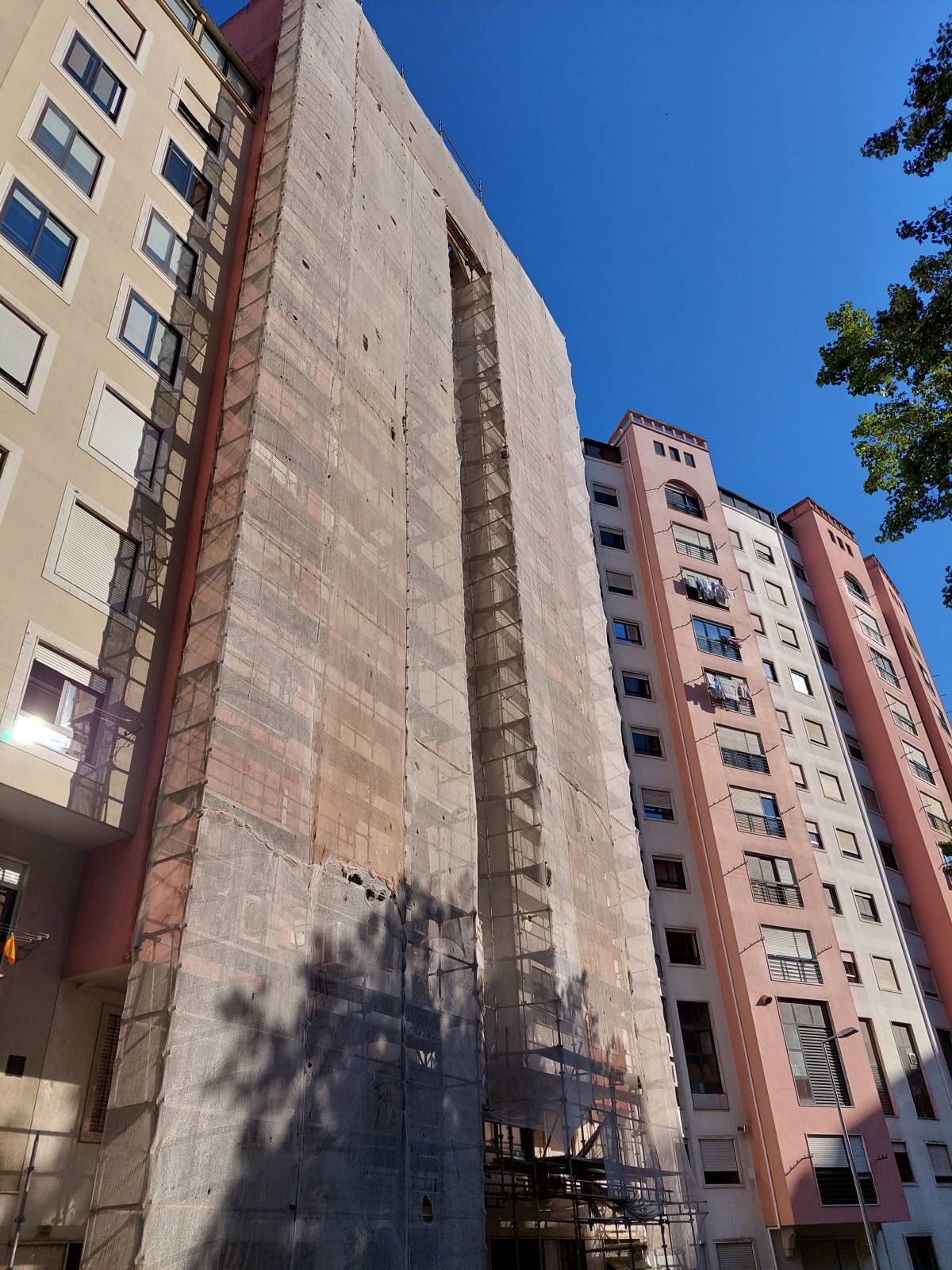 Brassouza.lda - Amadora - Poda e Manutenção de Árvores