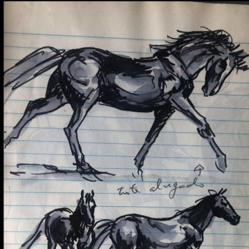 Dora Sousa Santos - Lisboa - Drawing Lessons