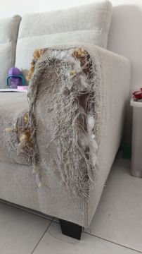 Upholstery Repair