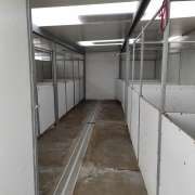 Bulldogs Casa Tejo - Torres Novas - Dog Daycare