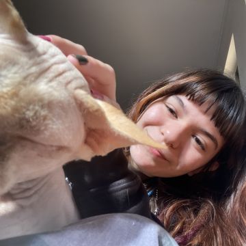 Laura - Faro - Cat Sitting
