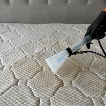 Limpa Mestre - Vila do Conde - Rug Cleaning