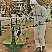 Manuel de Jesus - Vila do Conde - Pest Control Services