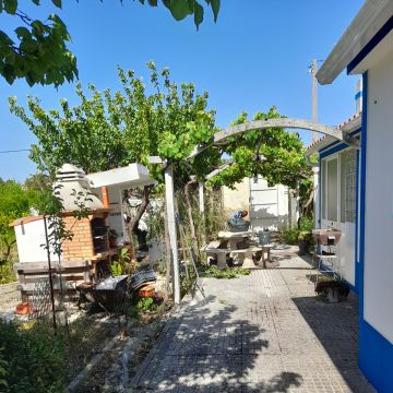 Garcia - Palmela - Entfernung von Gebüsch- und Baumaufwuchs