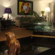 Studio Aguiar & Dinis - Coimbra - Carpintaria Geral