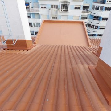 Brassouza.lda - Amadora - Remoção de Arbustos