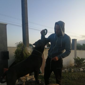 Ruben - Sintra - Treino Animal e Modificação Comportamental (Não-canino)