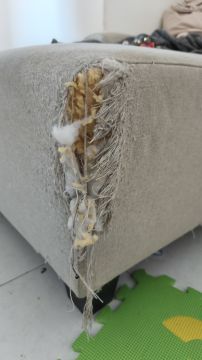 Upholstery Specialist