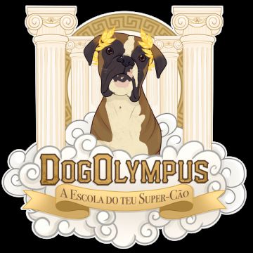 Dog Olympus - Tondela - Dog Training - Private Lessons