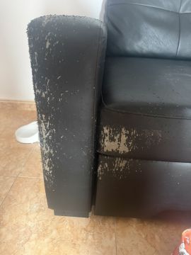 Upholstery Repair