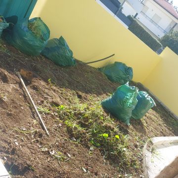 Analuiza.8 - Barcelos - Sellados
