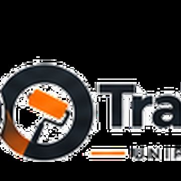 100Trabalhos, Unipessoal, lda - Vila Nova de Gaia - Baumpflege