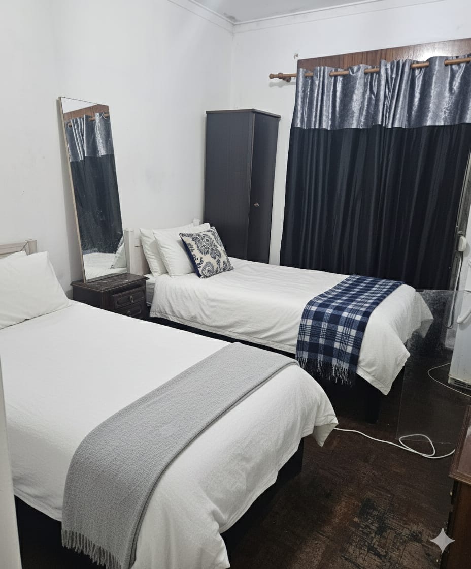 SAF  PINTURAS - Almada - Nettoyage de toiture