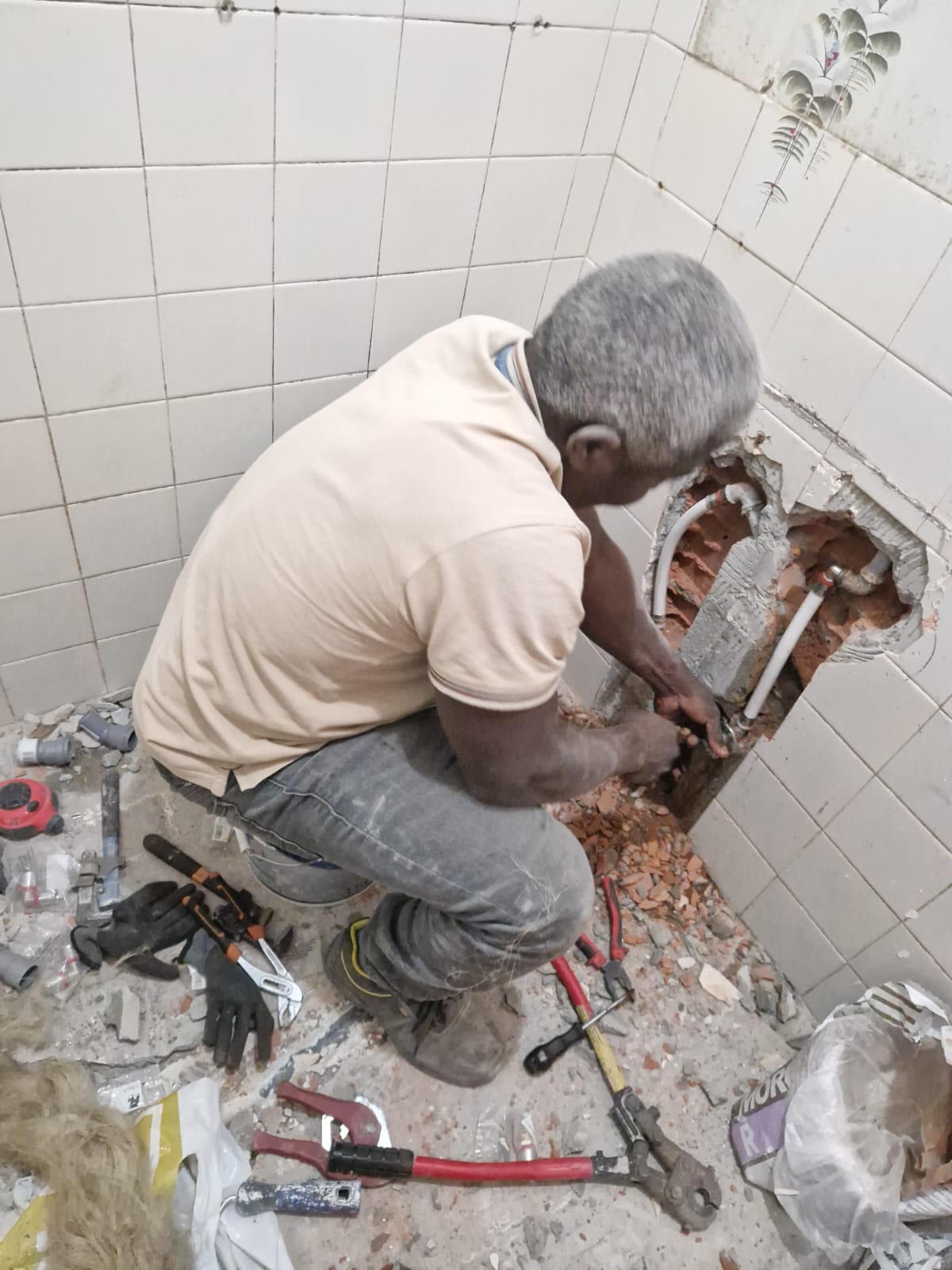 FAST WISE Lda - Sintra - Mold Inspection and Removal