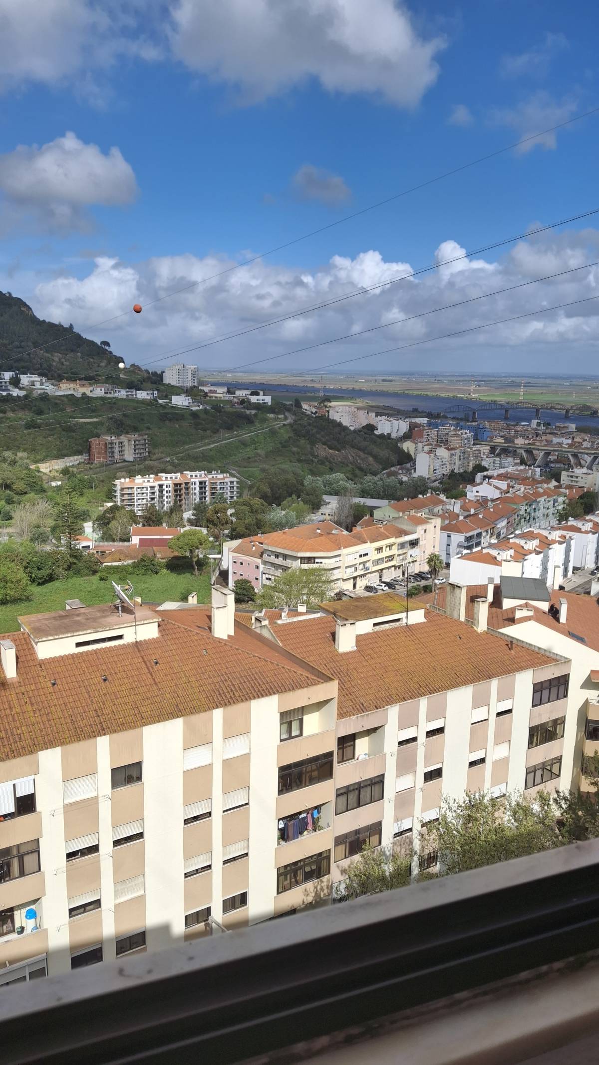 Susan Santos - Vila Franca de Xira - Animal Behavior Modification