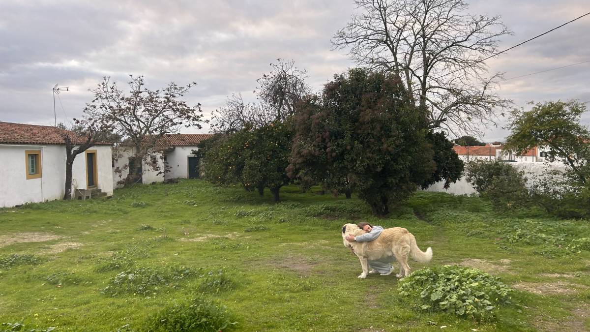 Jeanne clavier - Almada - Cuidar tus perros
