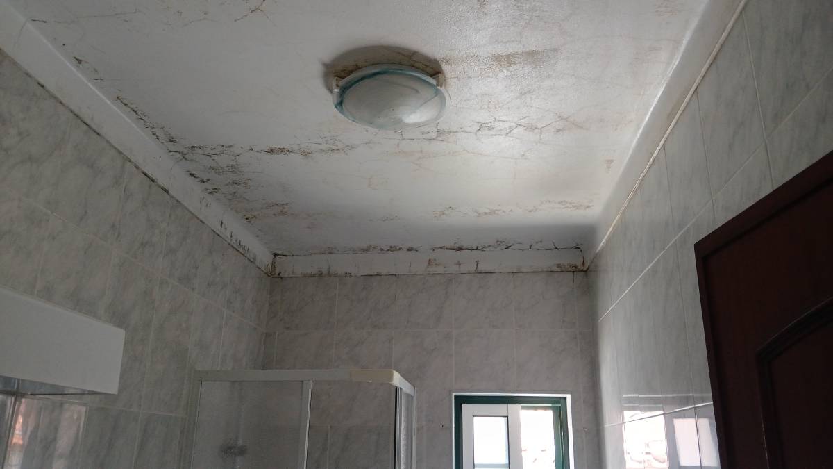 Vanessa - Pombal - Property Cleanup