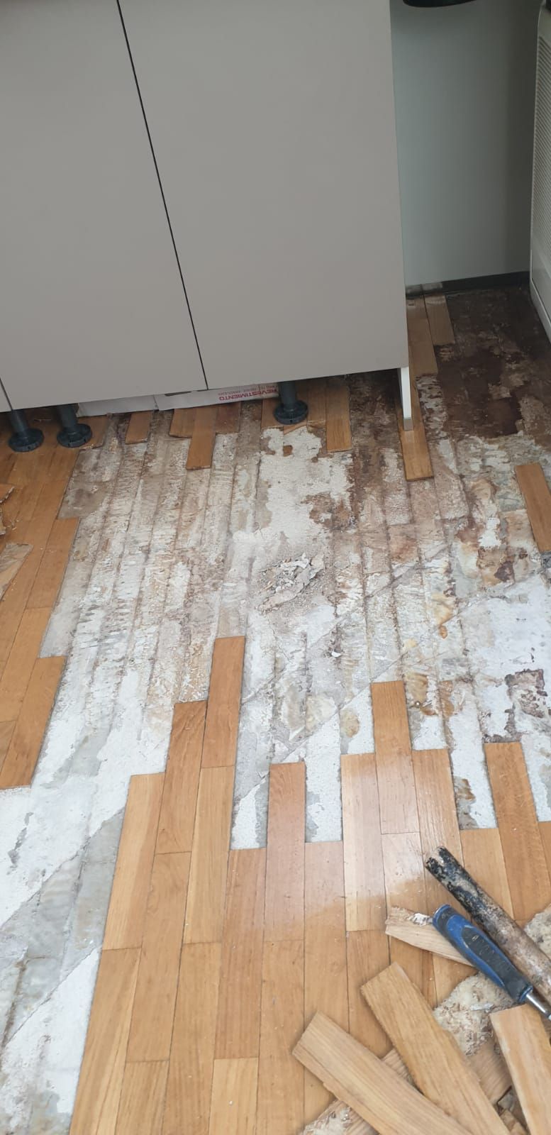 HT Servicos - Porto - Toilet Repair