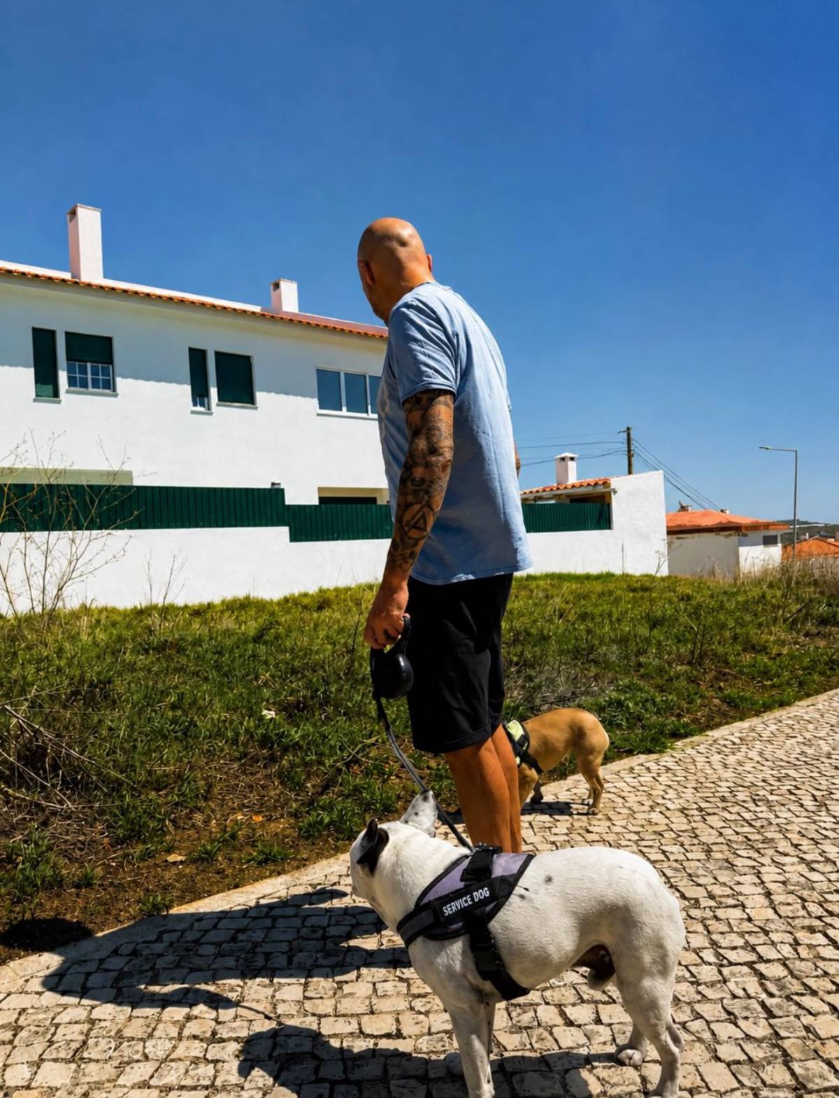 Ricardo Reis - Pet Care - Sintra - Garde et promenade d’animaux