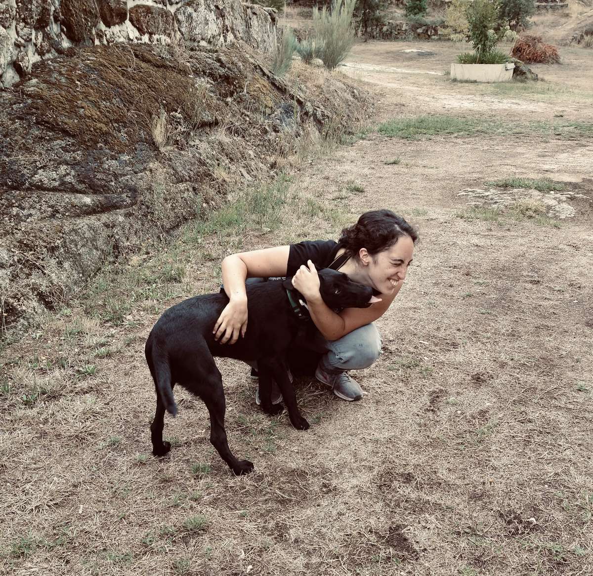 Joana - Valongo - Hospedaje de perros