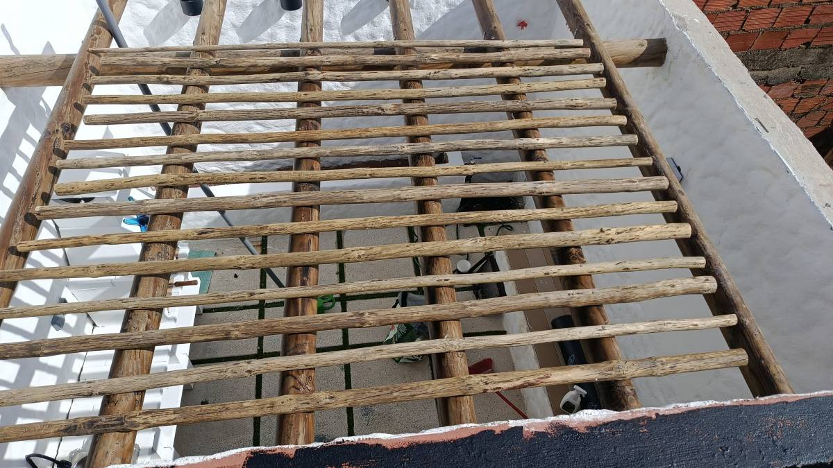 Pintura, canalização e construção - Portimão - Baumpflege