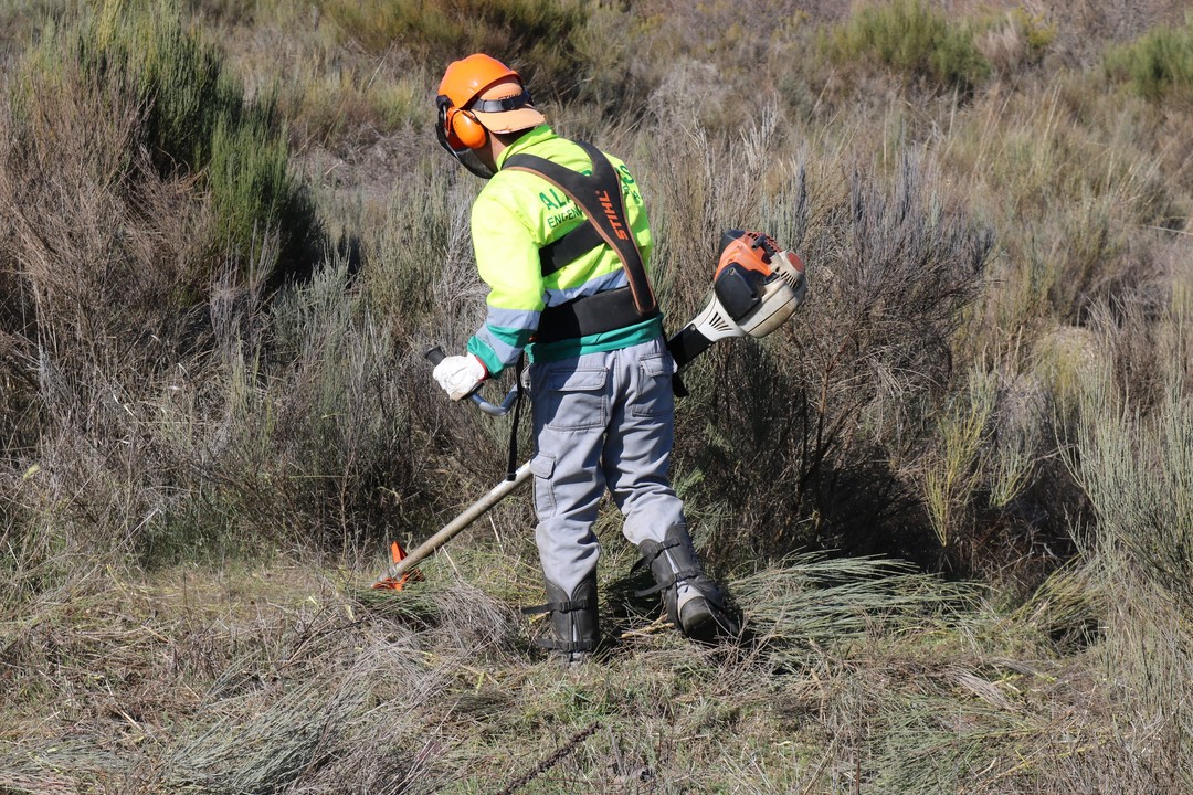Trabalho com muito gosto - Barcelos - Shrub Removal