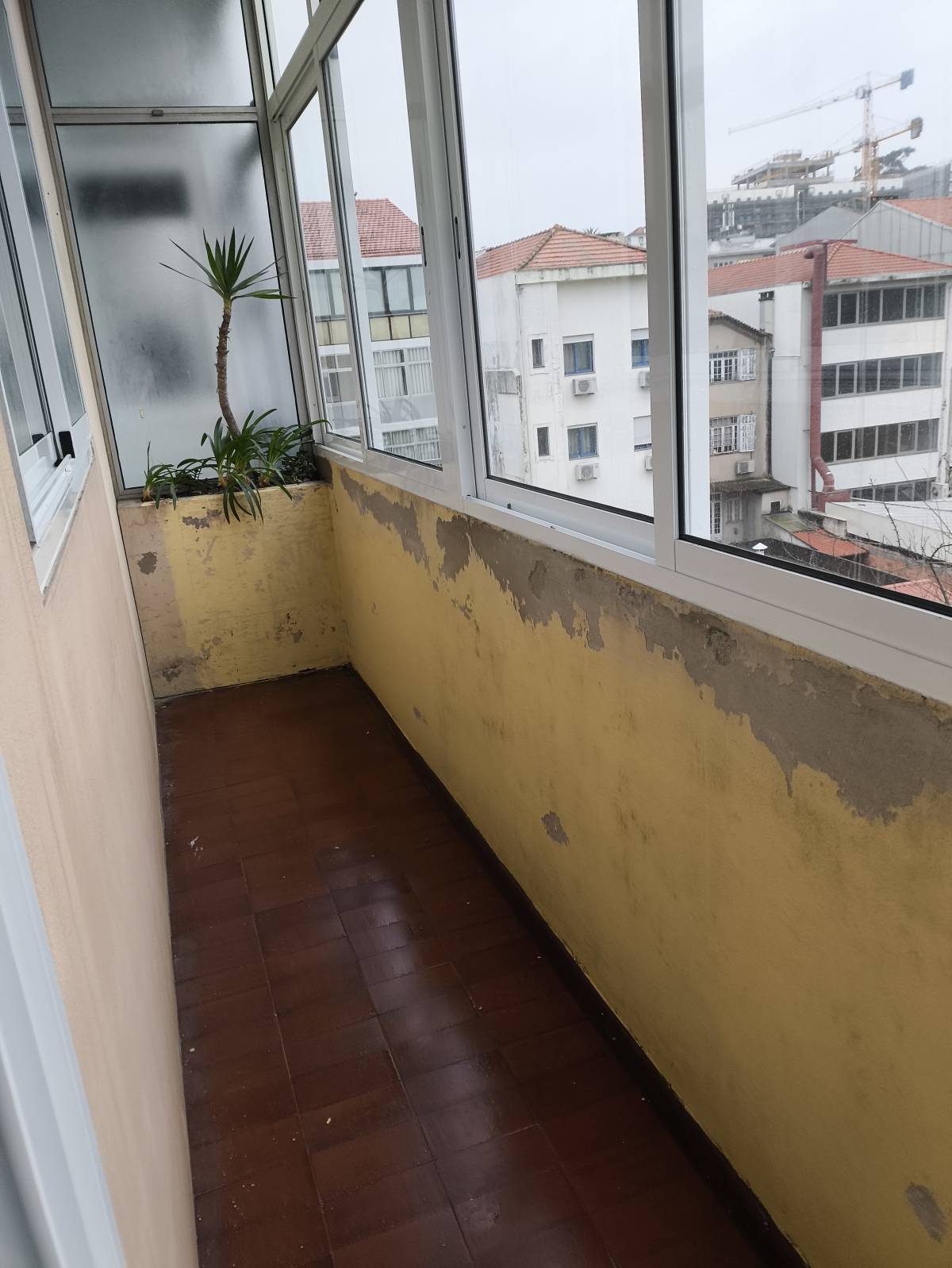 Miguel Lima - Vila Nova de Gaia - Insonorização