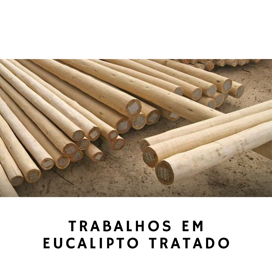 Pedro Fraga - Cascais - Remoção de Arbustos
