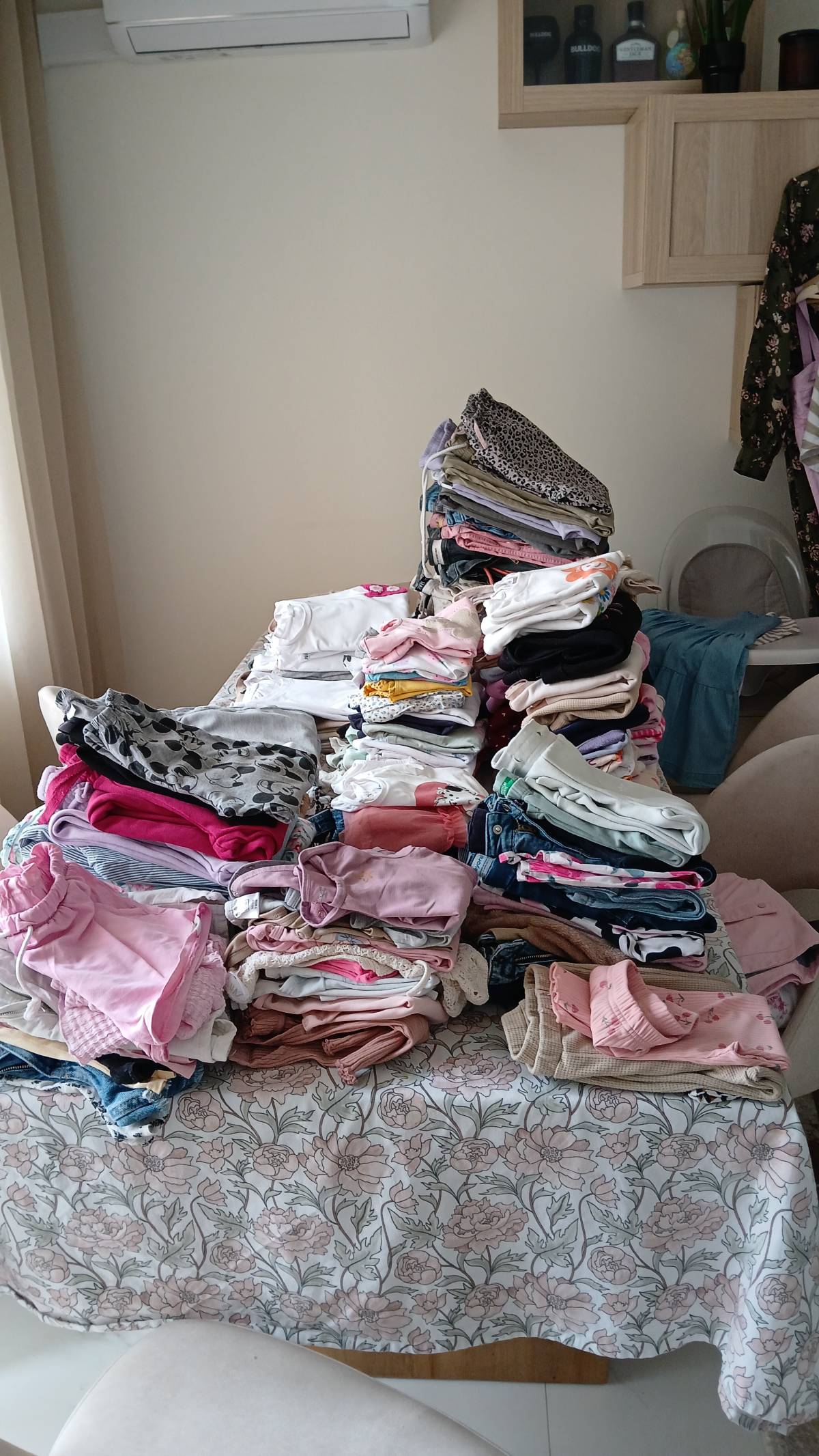 Vanessa - Pombal - House Cleaning (Recurring)