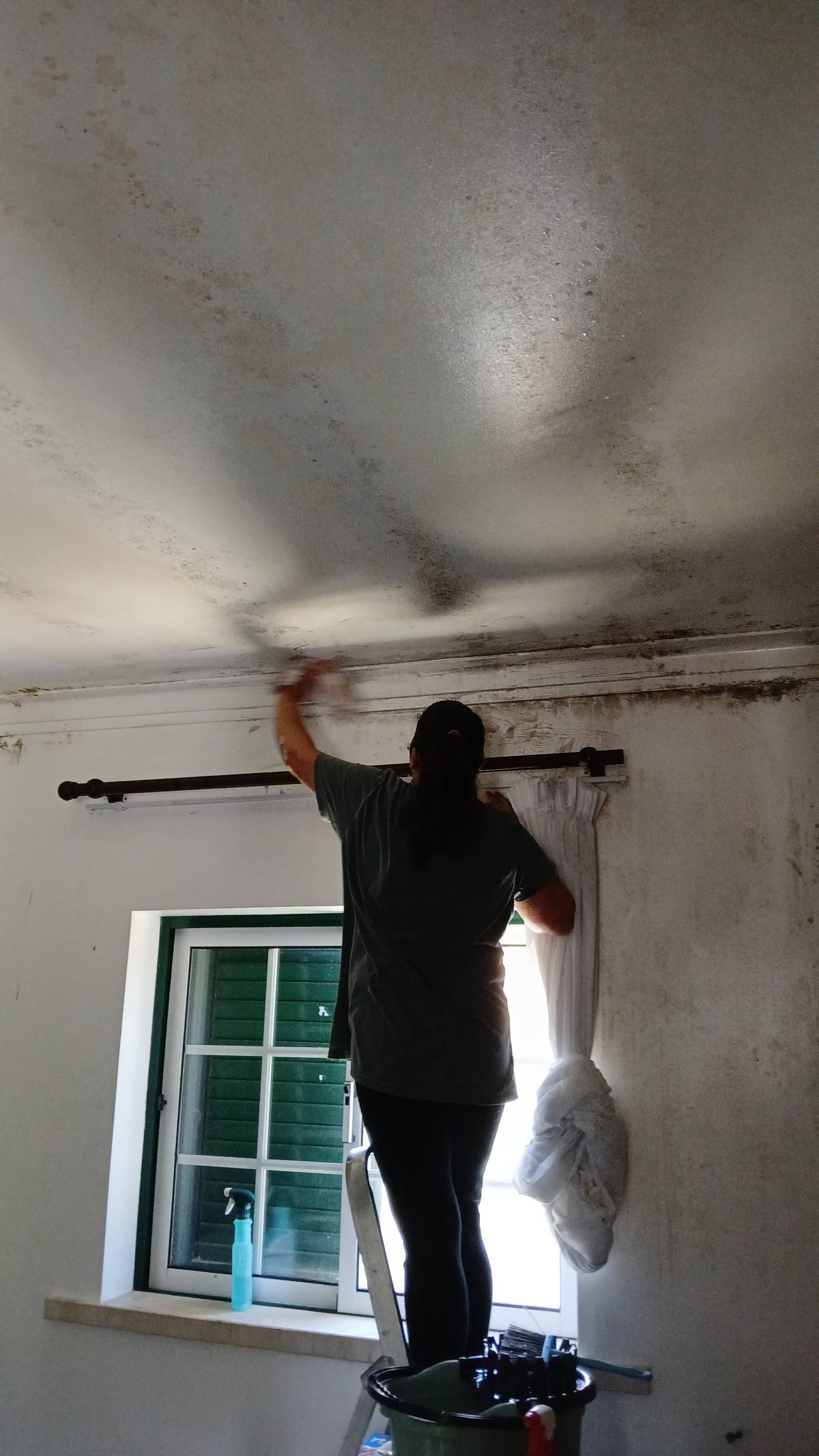 Vanessa - Pombal - Window Blinds Cleaning