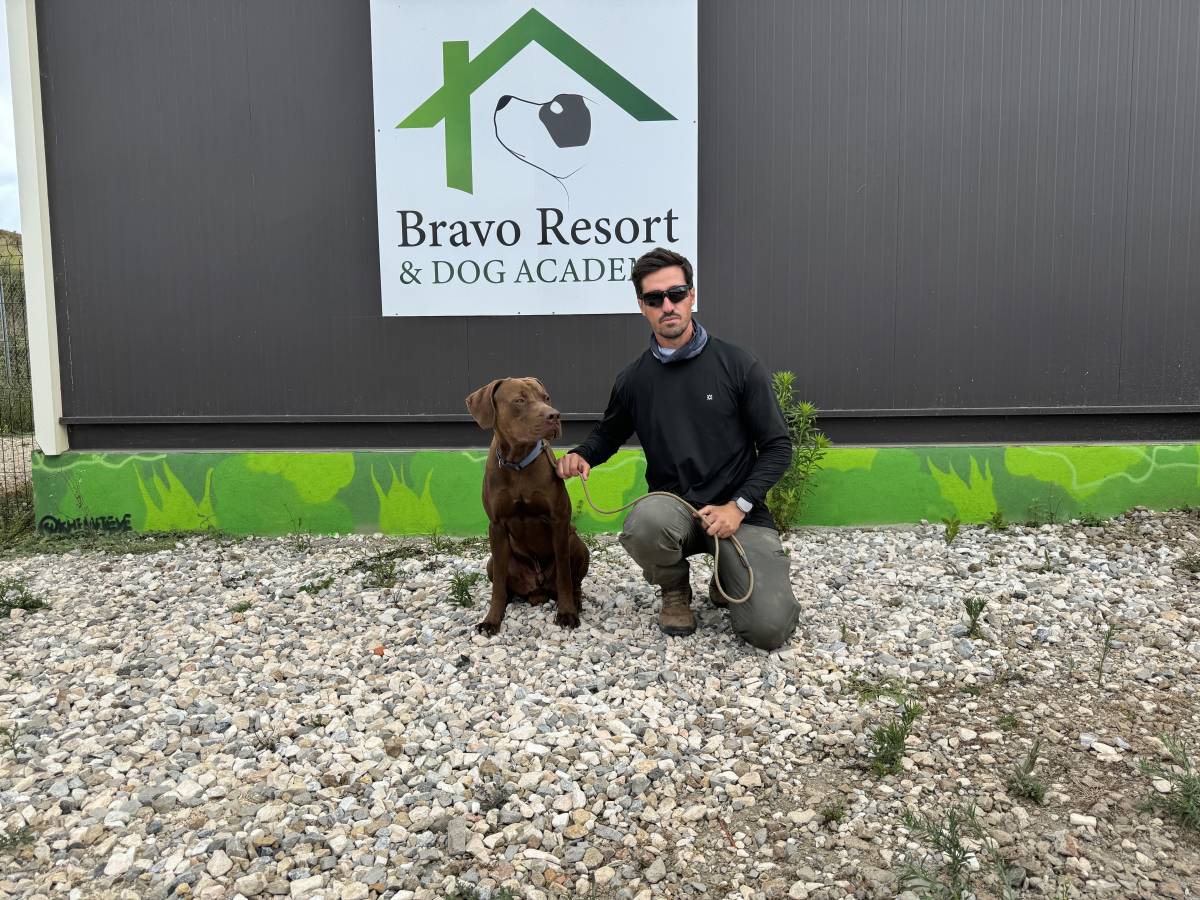 Bravoadestrador - Oeiras - Modificación del comportamiento animal