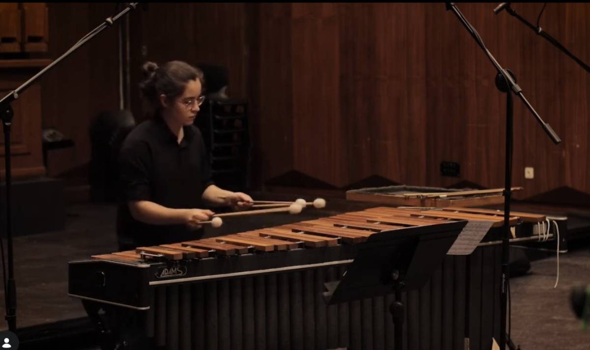 Aulas de Bateria/Percussão - Beatriz Magalhães - Aveiro - Aulas de Harmónica