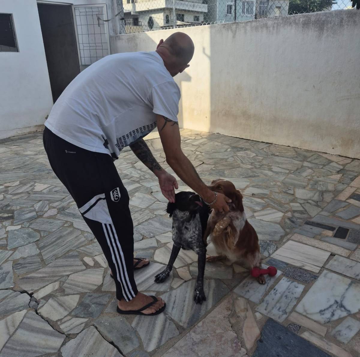 Ricardo Reis - Pet Care - Sintra - Garde de chiens