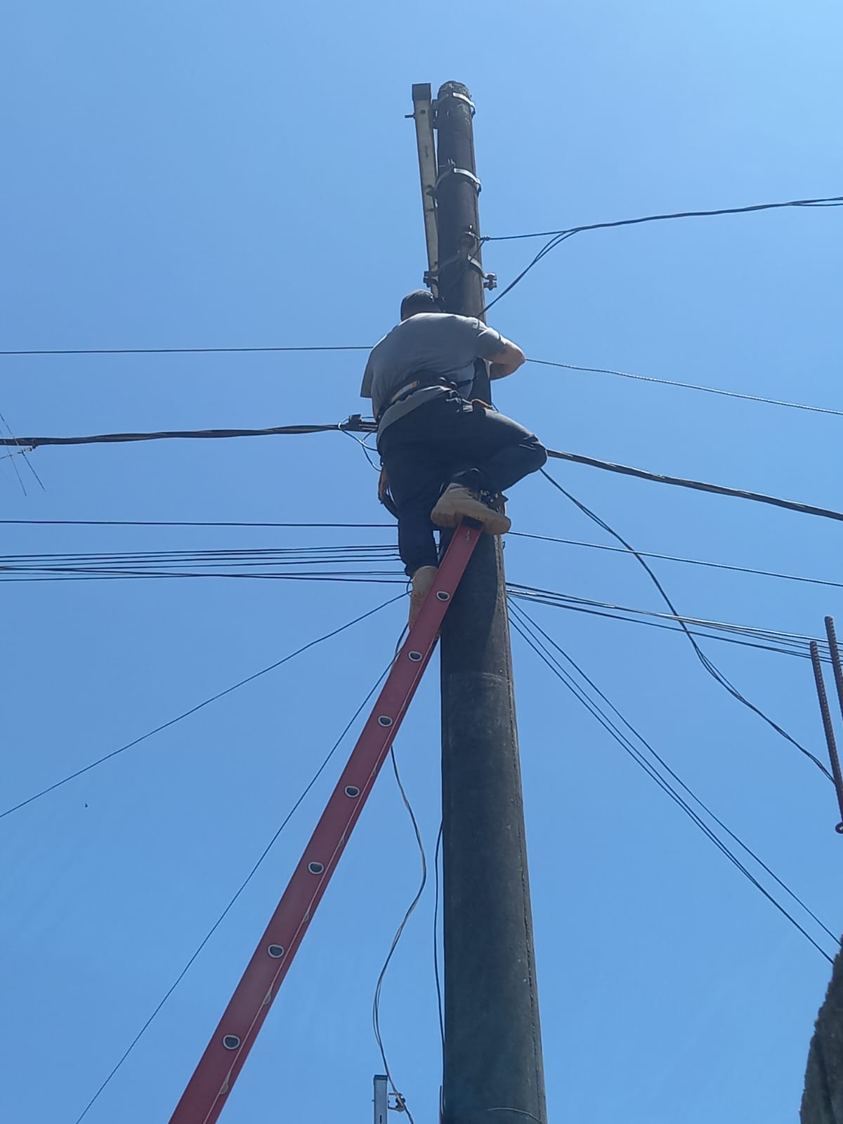 Samuel Watanabe - Sintra - Electrical and Wiring Issues