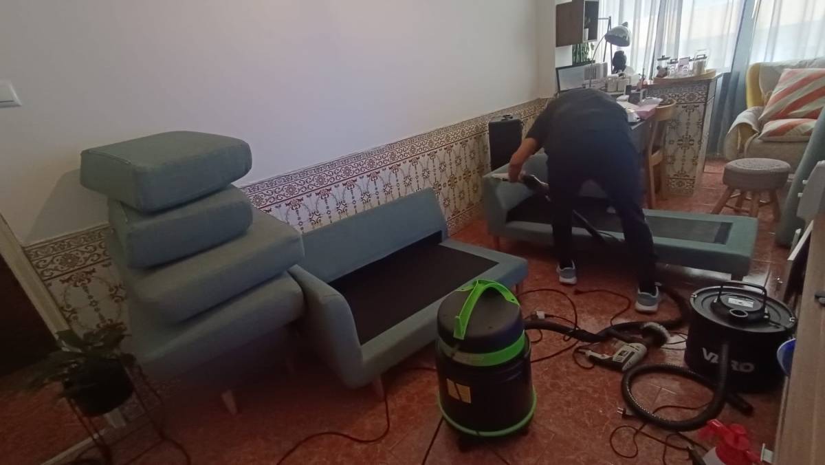Aplicador de películas - Odivelas - Limpeza a Fundo