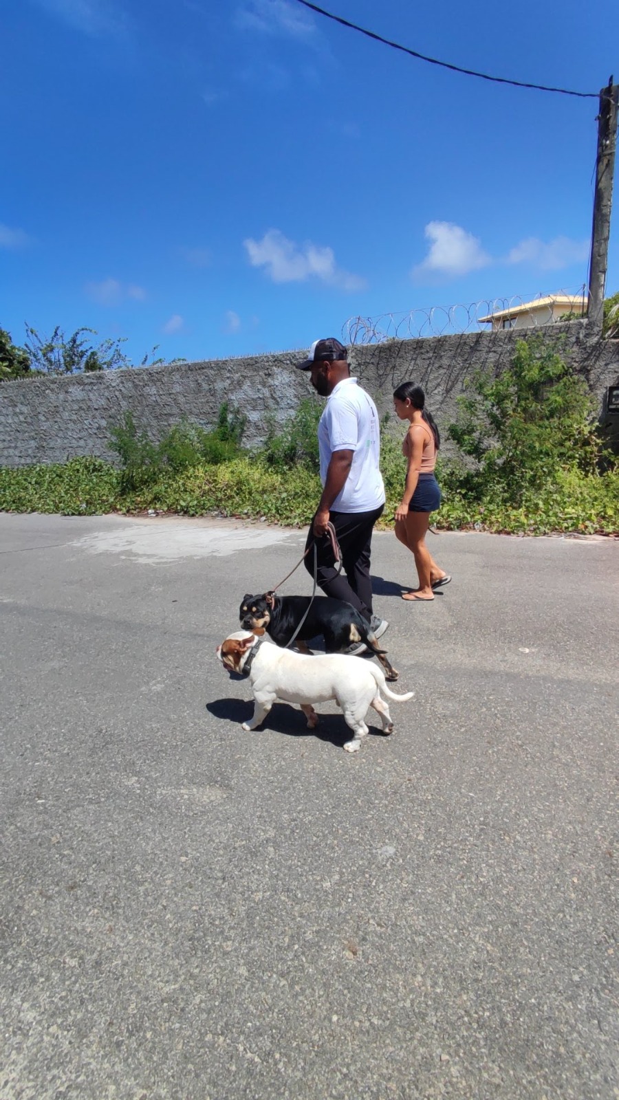 Rodrigo dos Santos - Figueira da Foz - Hundeausführung