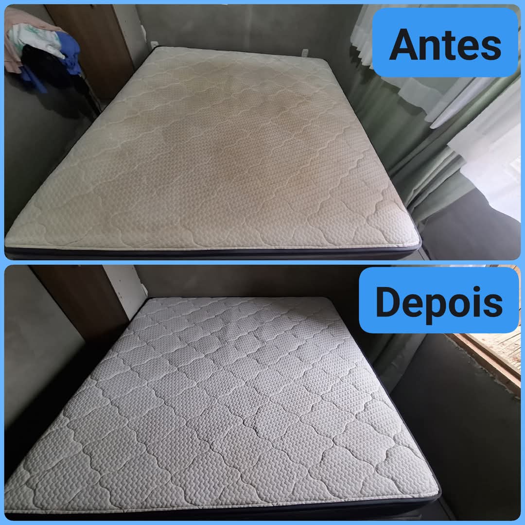 Eco limpeza.pt - Porto - Deep or Spring Cleaning