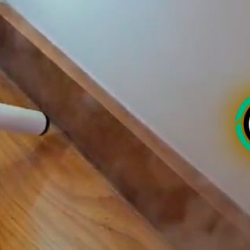 Desin Controlo de Pragas - Leiria - Bed Bug Extermination