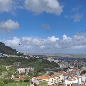 Susan Santos - Vila Franca de Xira - Animal Behavior Modification