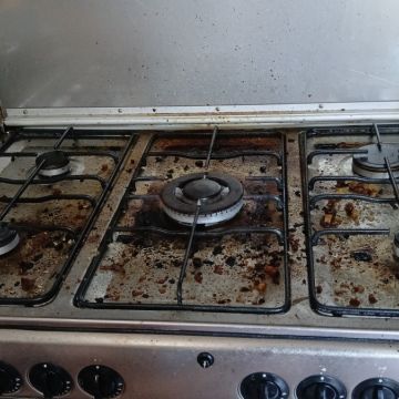 Vanessa - Pombal - Deep or Spring Cleaning