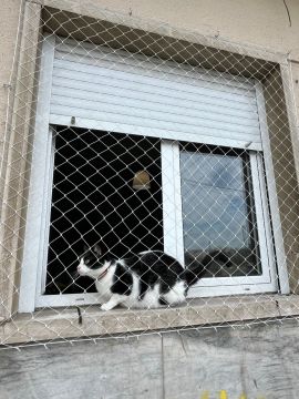 Saldanha Redes de Proteção - Lisboa - Dog Fence Installation