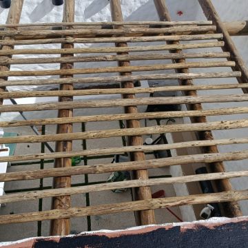Pintura, canalização e construção - Portimão - Baumpflege