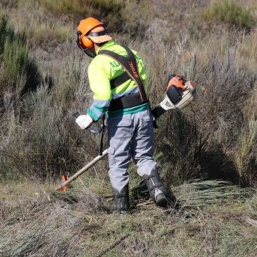 Trabalho com muito gosto - Barcelos - Shrub Removal