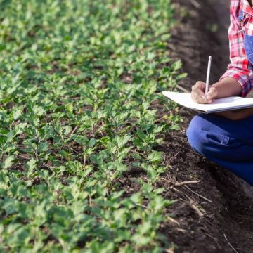 Certifica.te - Consultoria Técnica Agrícola - Nelas - Unternehmensberatung