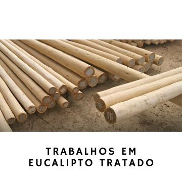 Pedro Fraga - Cascais - Remoção de Arbustos