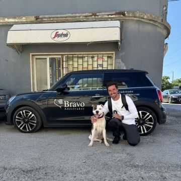 Bravoadestrador - Oeiras - Entrenamiento de animales y modificación de la conducta (no caninos)